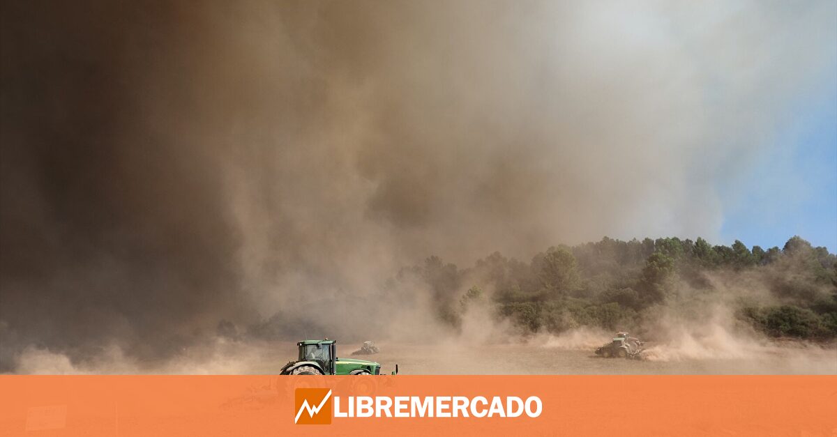 El campo desmonta las promesas de Planas: "Las ayudas no llegan y son un engorro burocrático"