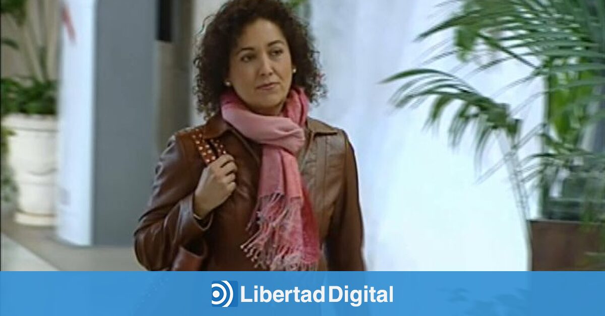 Carmen Ninet, subdirectora del MuVIM, se jubila tras la investigación de la Diputación de Valencia