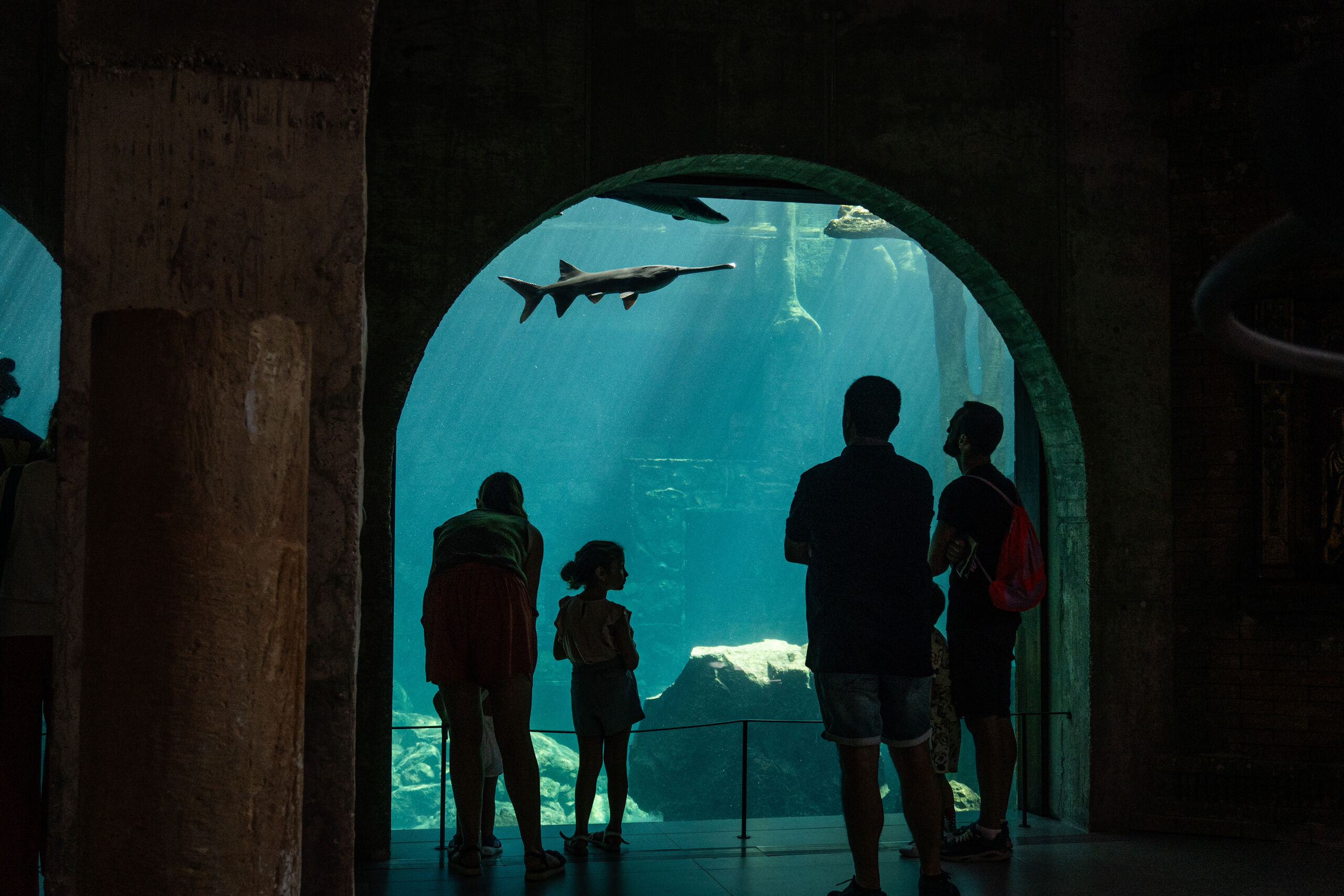 bioparc-fuengirola.jpg