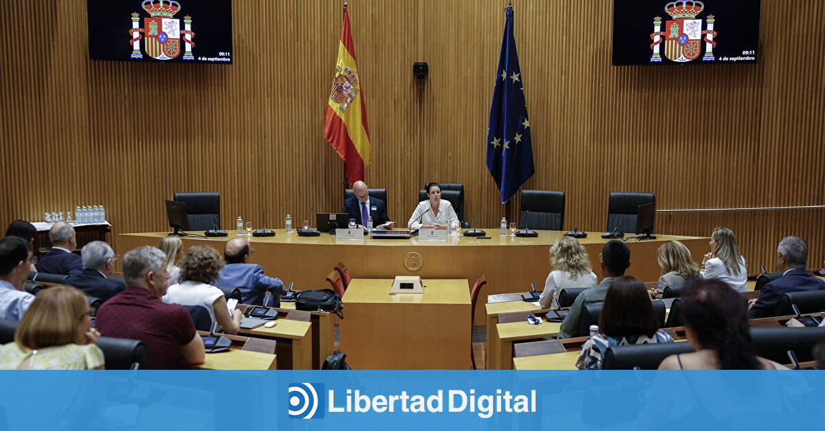 Vox pide el fin de la impunidad de las denuncias falsas por violencia de género