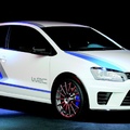Galería: Volkswagen Polo WRC