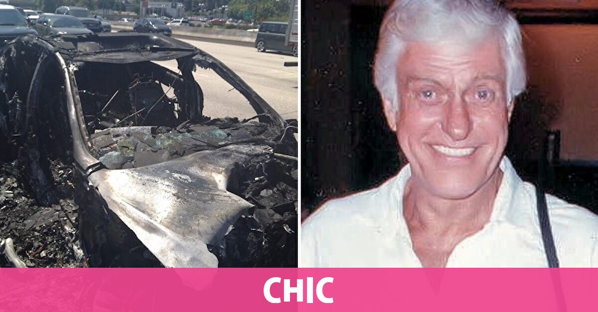 El sorprendente accidente de Dick Van Dyke Chic