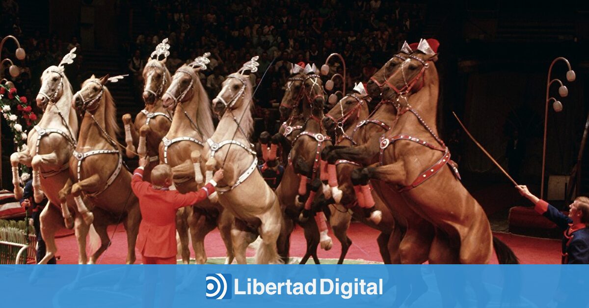 Aquella fauna del circo - Miguel del Pino - Libertad Digital Aquella fauna del circo - Miguel del Pino - Libertad Digital