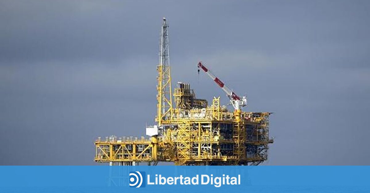 Proyecto Castor Noticias, reportajes, vídeos y fotografías Libertad