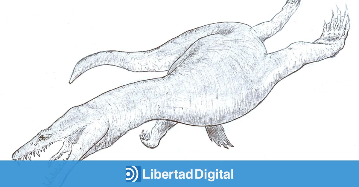 Descubren restos de reptiles marinos prehistóricos en Albacete y Jaén -  Libertad Digital