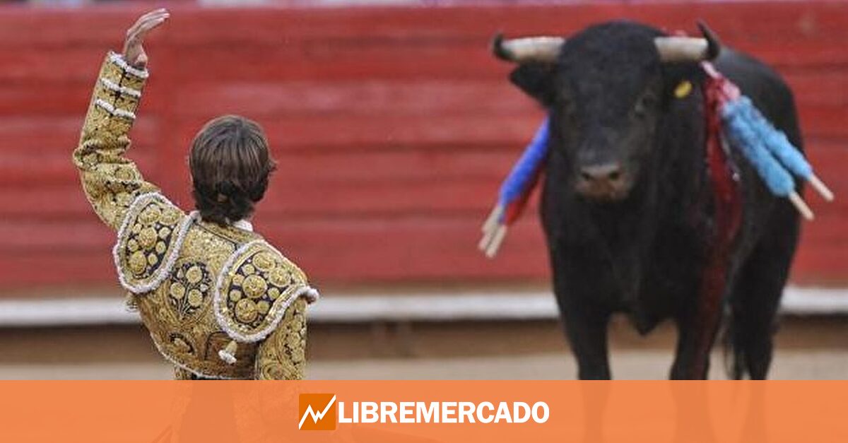 www.libremercado.com