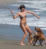 Charlize Theron jugando con sus perros