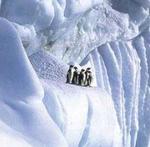 Imagen de la Antártida tomada de www.argentinianexplorer.com.