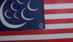 Recreación de bandera norteamericana islámica