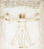 Leonardo da Vinci: EL HOMBRE DE VITRUVIO.
