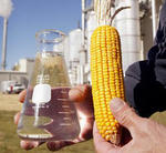 Etanol y su fuente, al menos en EEUU: el maíz