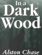 Detalle de la portada de una edición de IN A DARK WOOD.