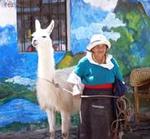 Una campesina, con su llama en Otavalo (tomado de www.galapagos.net)