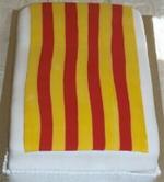 La bandera autonómica catalana preside esta tarta.
