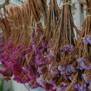 Decora con flores | Flickr/ciamabue