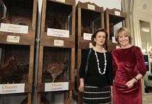 Esperanza Aguirre en la subasta | Efe