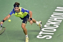 David Ferrer estar en la final del Torneo de Estocolmo. | EFE