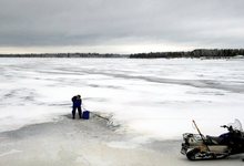 Los rboles que permitieron hacer el estudio se conservaron intactos en lagos helados de Laponia. | Flickr/Angelo Failla