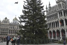 La Grand Place de Bruselas, cuando se colocaba el rbol | Cordon Press