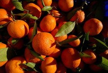 Naranjas valencianas | Cordon Press