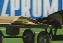 El Shakhter sacrifica una oveja antes de sus partidos. | Archivo
