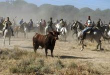 La celebracin de este ao en Tordesillas. | EFE