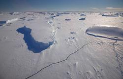 Importante descubrimiento en la Antártida | Cordon Press