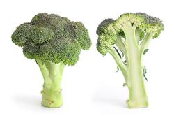 Los beneficios del brócoli | Fir0002/Flagstaffotos