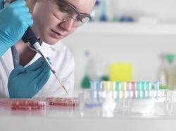Cientfica en un laboratorio inyectando muestras en cultivo de clulas madre. | Corbis