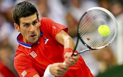 Novak Djokovic, durante la final de la Copa Davis. | EFE