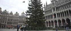 La Grand Place de Bruselas, cuando se colocaba el árbol | Cordon Press