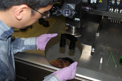 El investigador Hongsik Park examina una oblea con nanotubos de carbono. | Flickr/IBM Research