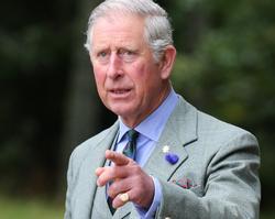 El Príncipe Carlos | Cordon Press