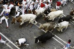Los toros de la ganadera de Torrestrella (Cdiz) en un momento del quinto encierro de sanfermines | EFE