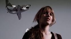 Una imagen de Sharknado