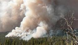 Incendio en Yosemite | EFE