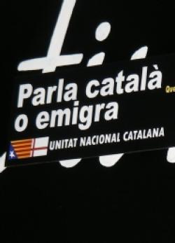 250_0_spegatina080408.jpg