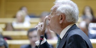 Margallo, en el Senado | EFE