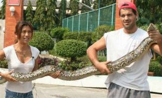 Frank Cuesta y Yuyee | Archivo