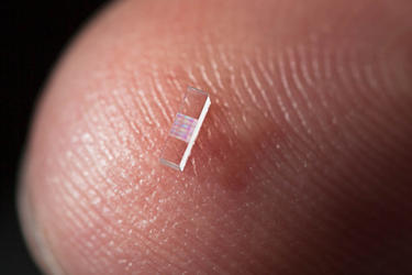 El minúsculo chip empleado para acelerar partículas. | Stanford