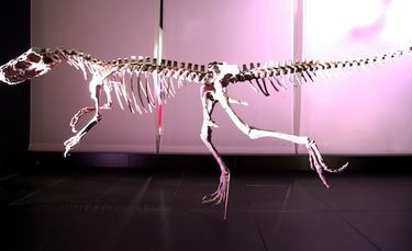 Un dinosaurio del museo aragons Dinpolis