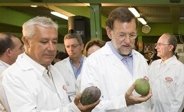 Rajoy y Arenas, en una cooperativa agraria | Tarek/ PP