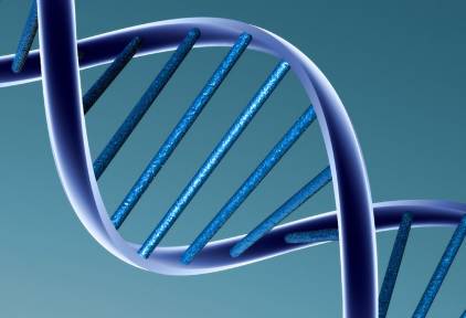 Montaje de la genética humana. |  Archivo