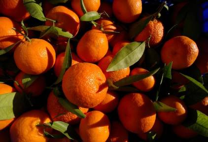 Naranjas valencianas | Cordon Press