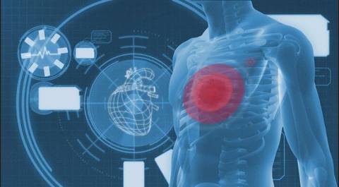 Organos que se encuentran en la parte izquierda del cuerpo humano