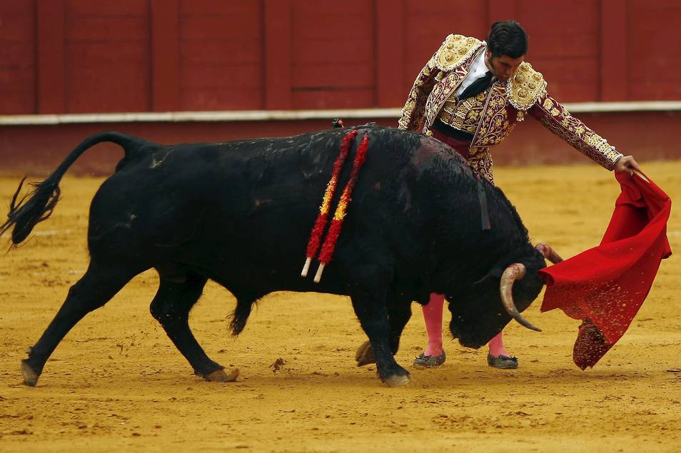 Vuelven los toros a Baleares tras la victoria en el TC frente a PSOE y Podemos Morante-malagueta-2015