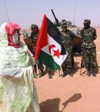 Una partidaria del Polisario enarbola la bandera a