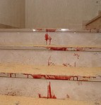Restos de sangre en la escalera de la vivienda.