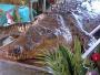 Muere 'Poncho', el cocodrilo ms famoso 
