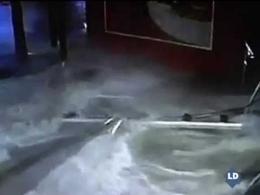 Explosión de un acuario en Shangai en el que mueren tres tiburones